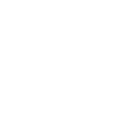 xAI logo